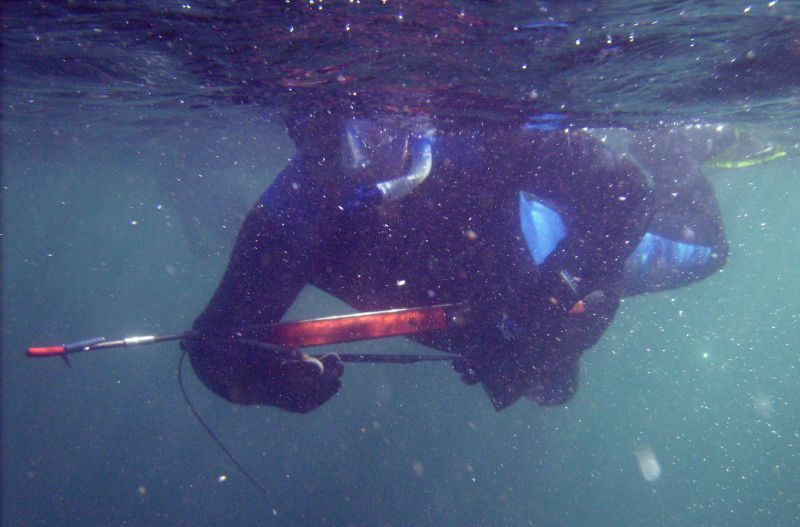 Speargun and freediving gear laid out on a boat deck