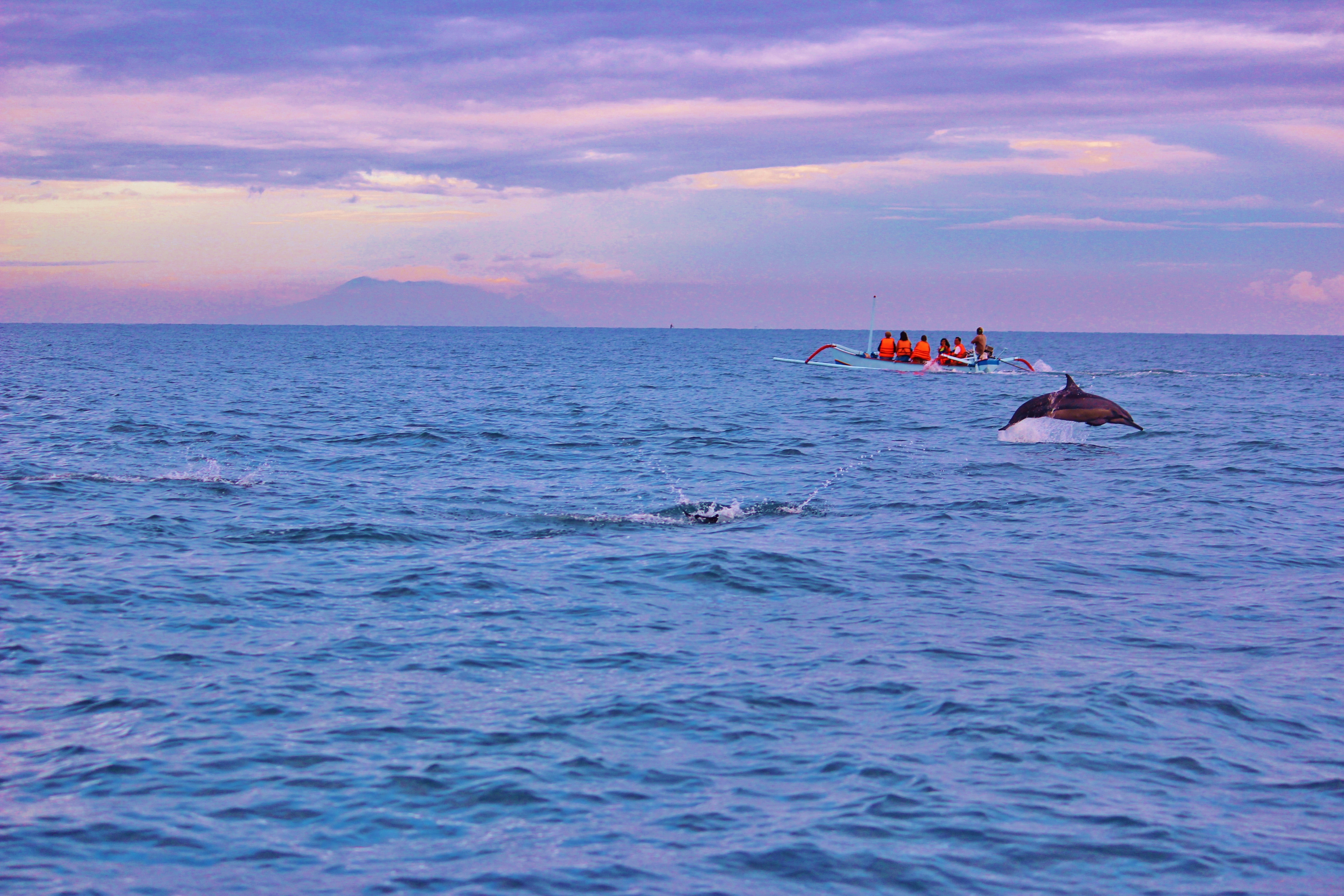 Spearfishing conditions and coastline at North Bali, Bali